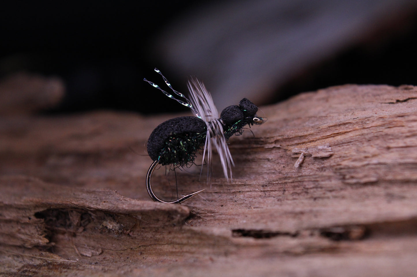 Foam ant