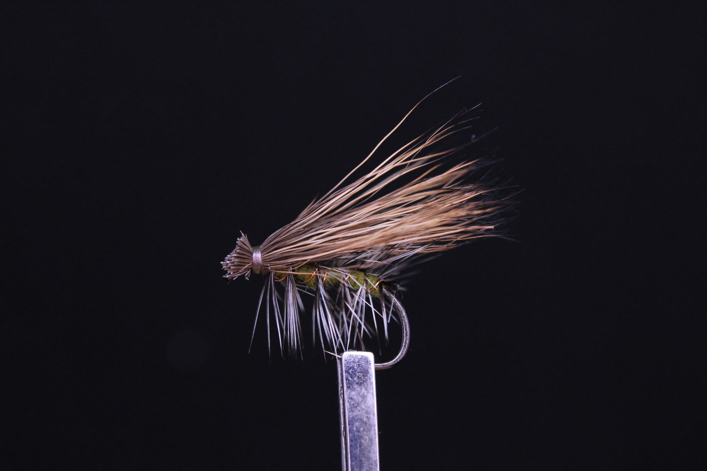 Elkhair caddis