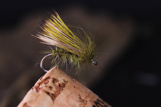 Olive Elkhair caddis
