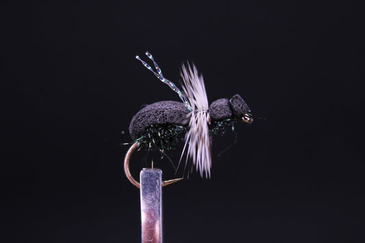 Foam ant