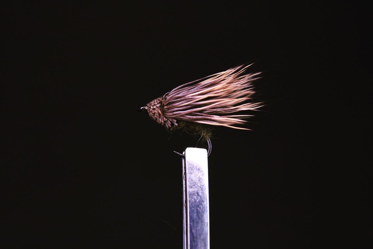 Bävercaddis