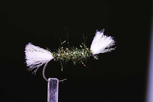 Shipmans buzzer