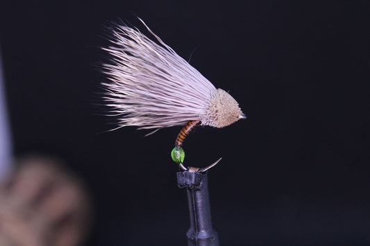 Egg laying caddis