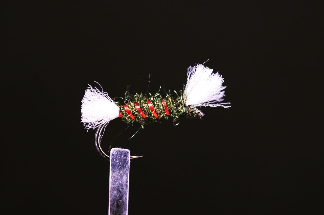 Shipmans buzzer