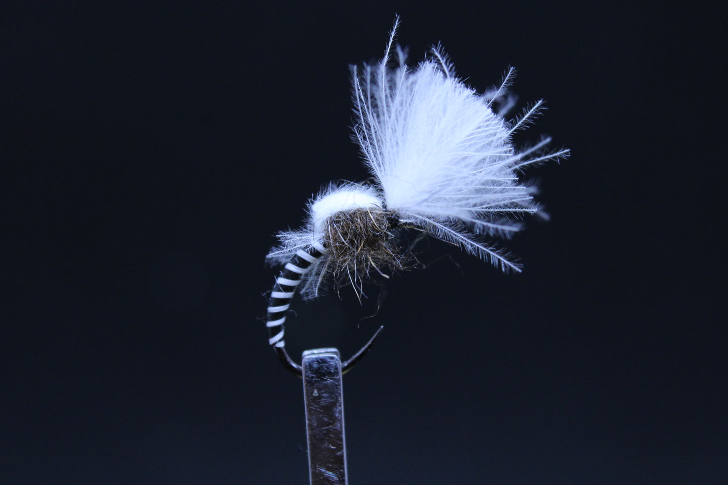 Zebra emerger