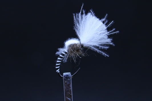 Zebra emerger