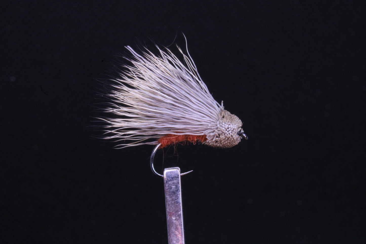 Streaking caddis