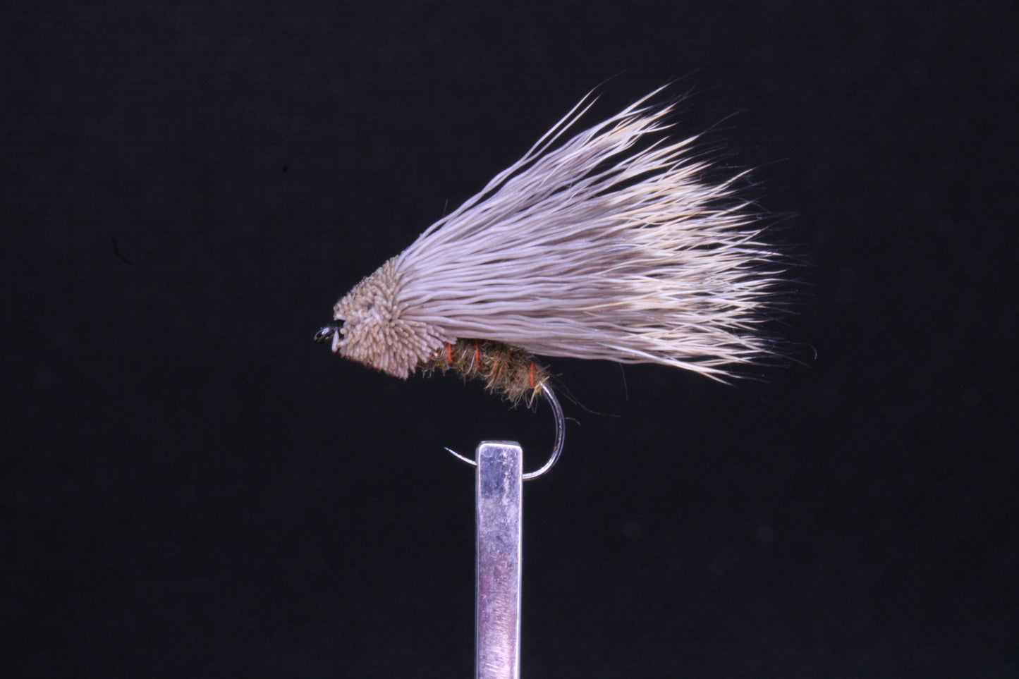 Streaking caddis